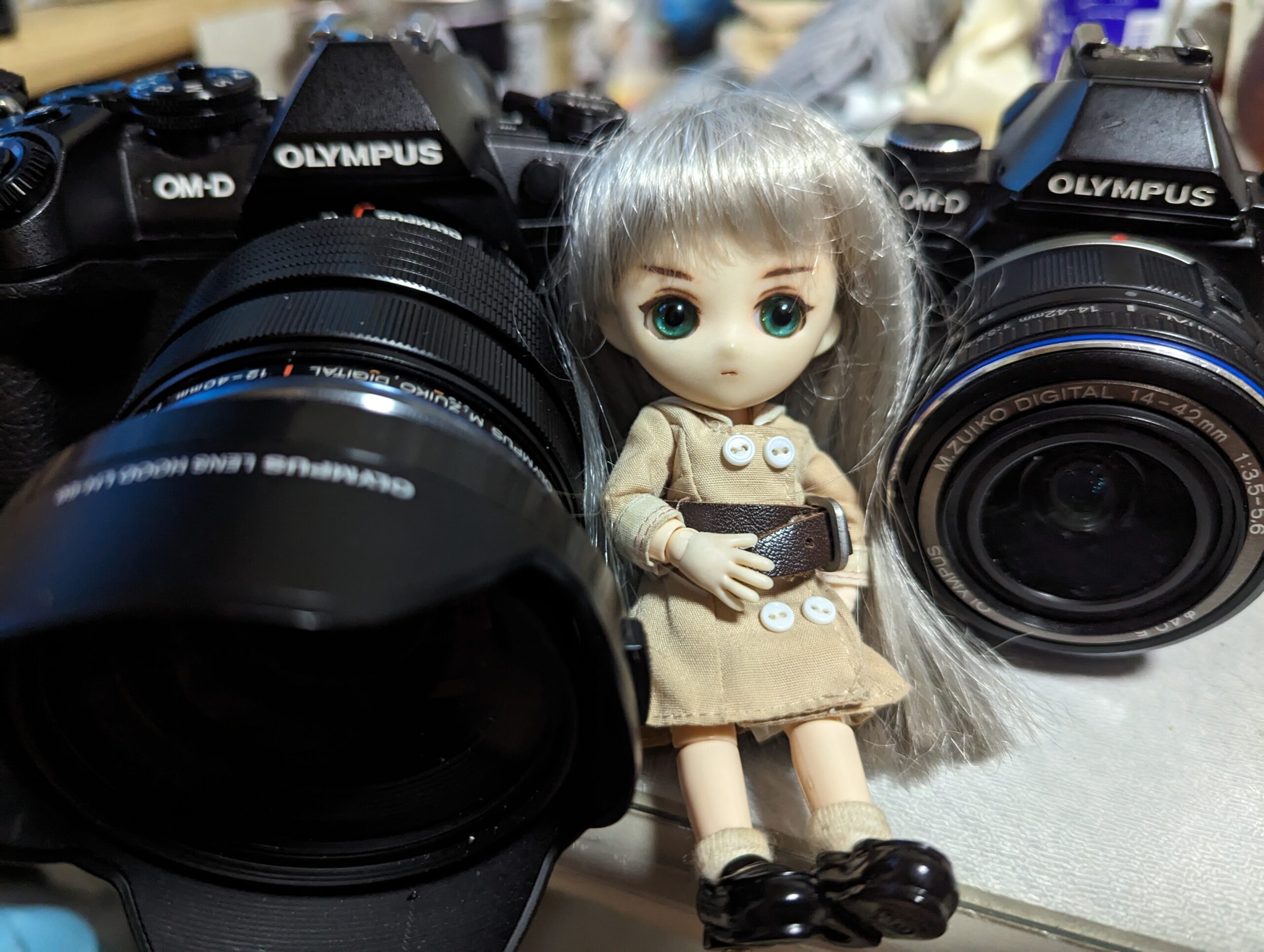 OLYMPUS E-M5とE-M1markIIIとキットレンズ画質比較、Pixel6もあるよ